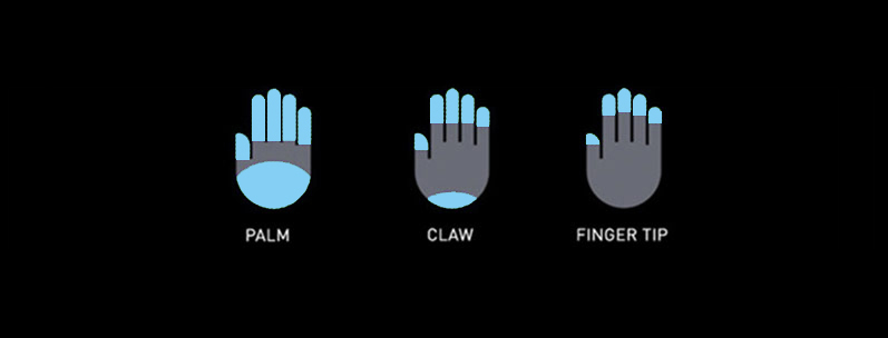 Palm, Claw, Finger tip